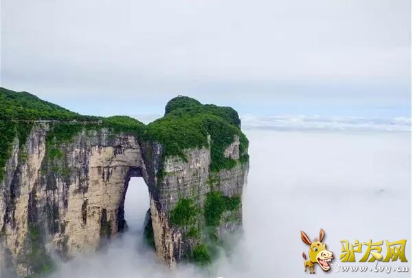 QQ截图20160701162255.jpg